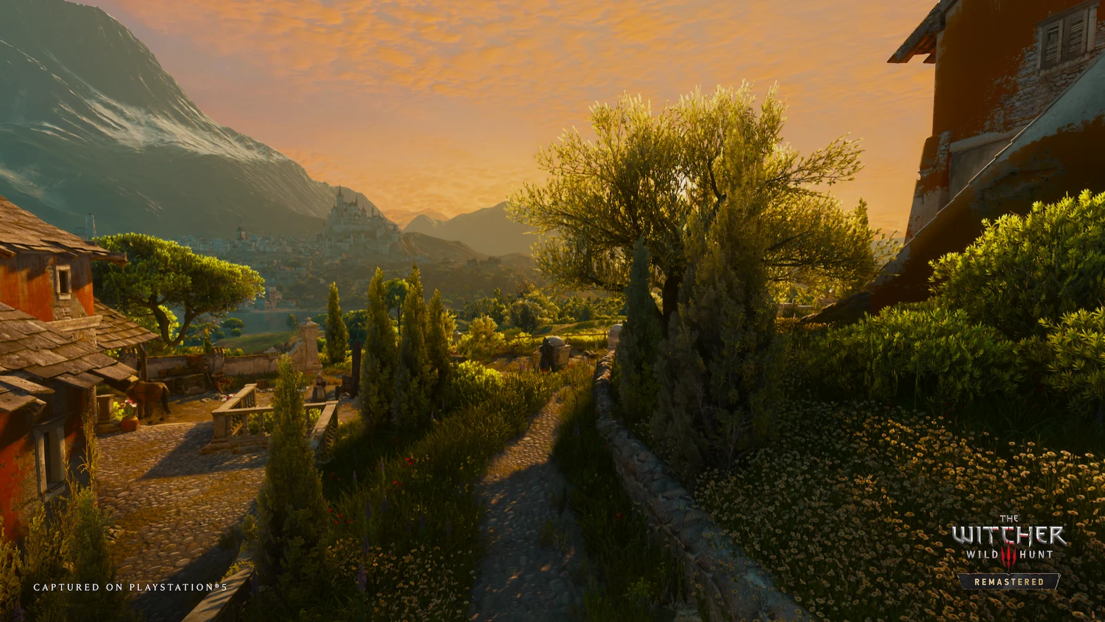 Бой в The Witcher 3 Remastered