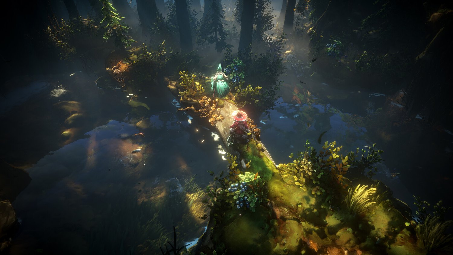 Exploration of the overgrown territory of the island of Isola Sacra.