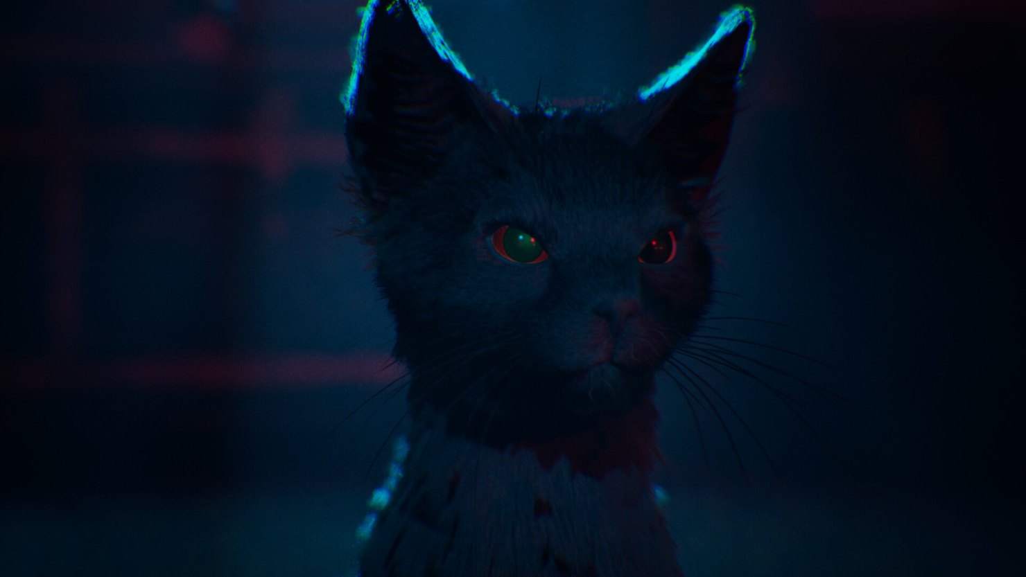 Aaron the cat in a night scene 1666: Amsterdam.