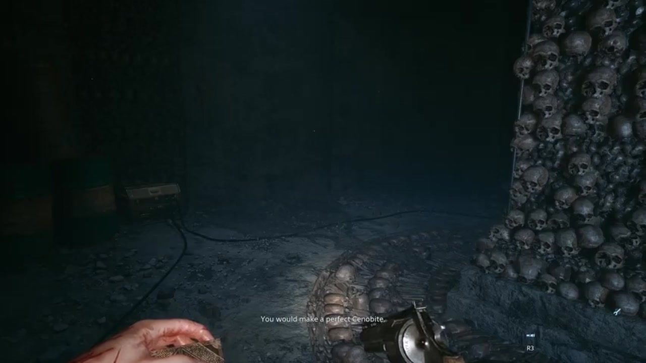 Ein dunkler Tunnel mit einer Wand aus Schädeln und einem Untertitel darüber, wie der Held einen idealen Cenobit machen würde, in Hellraiser: Revival