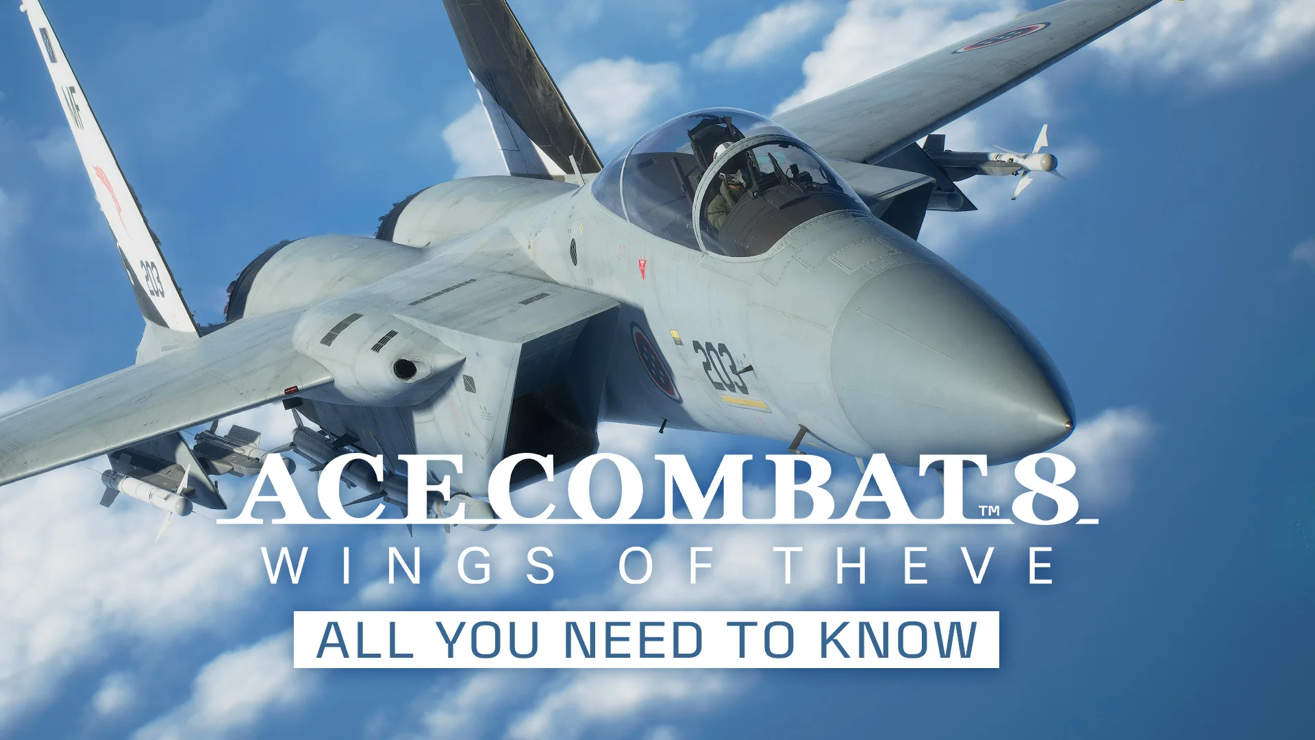 Ace Combat 8: Wings of Theve